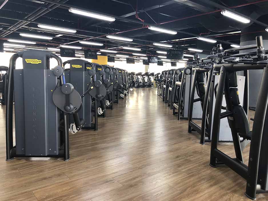 Equipos de Musculación